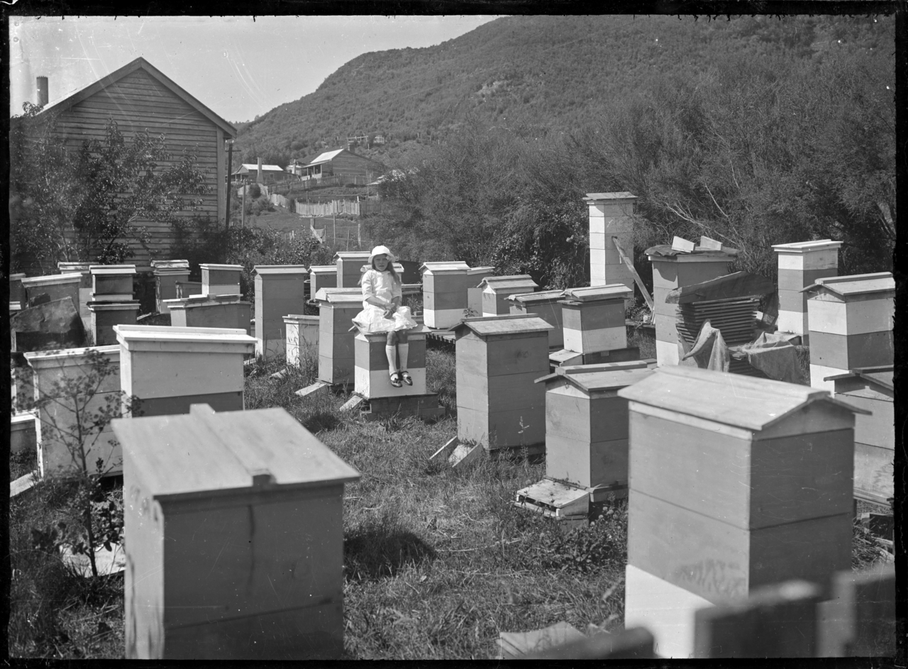 Apiary at Mangapehi, 1920. ATLIB 288303