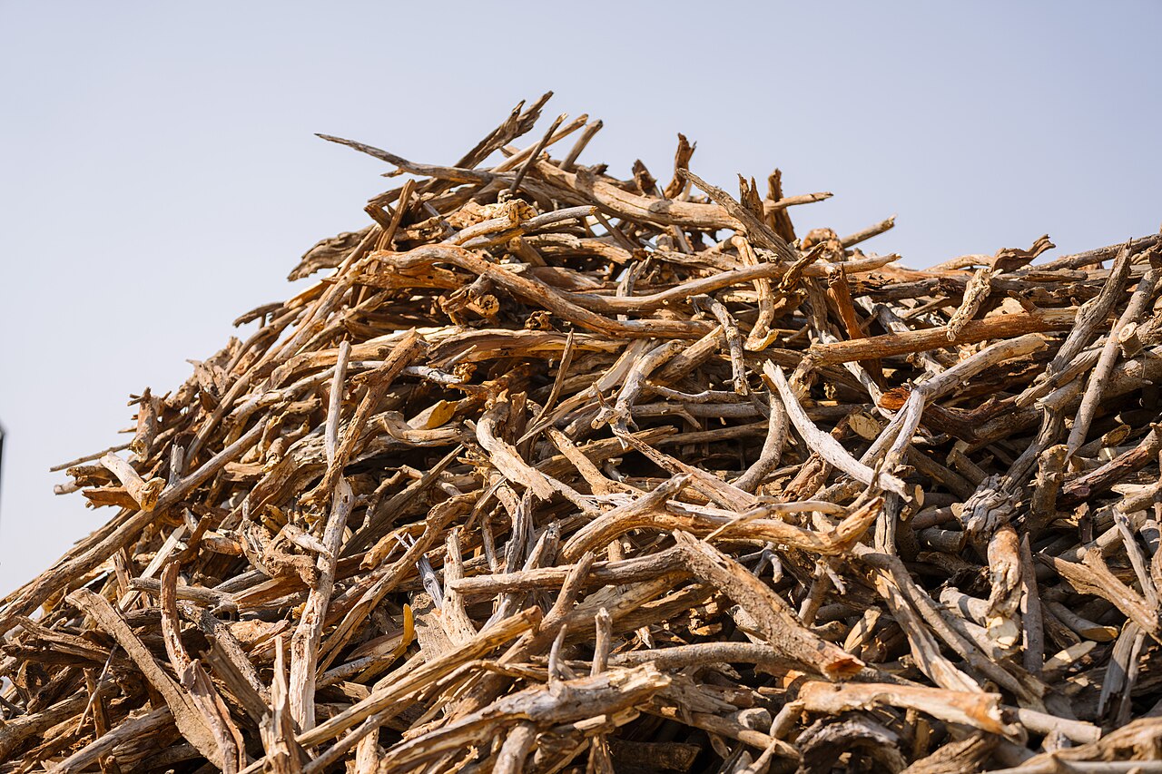 Pile of wood chips Namibia